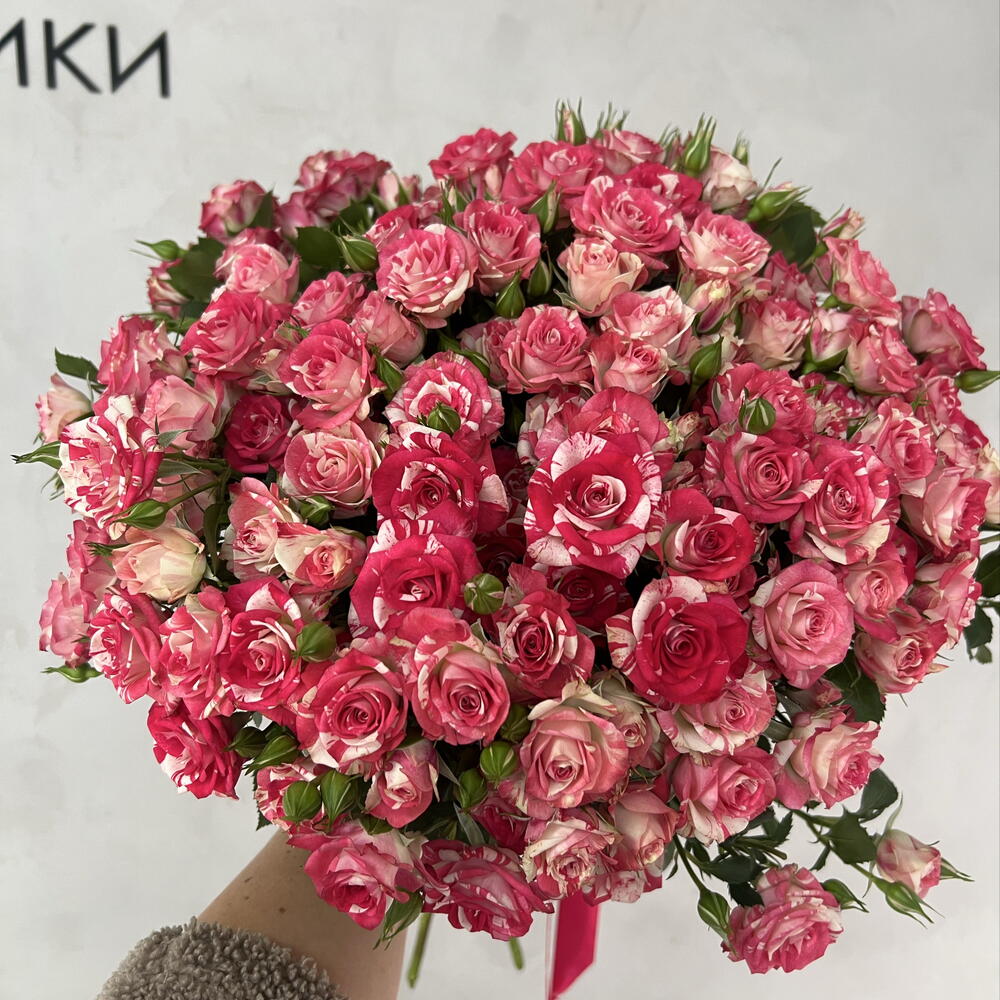 Моно из 21 кустовой розы 🌹