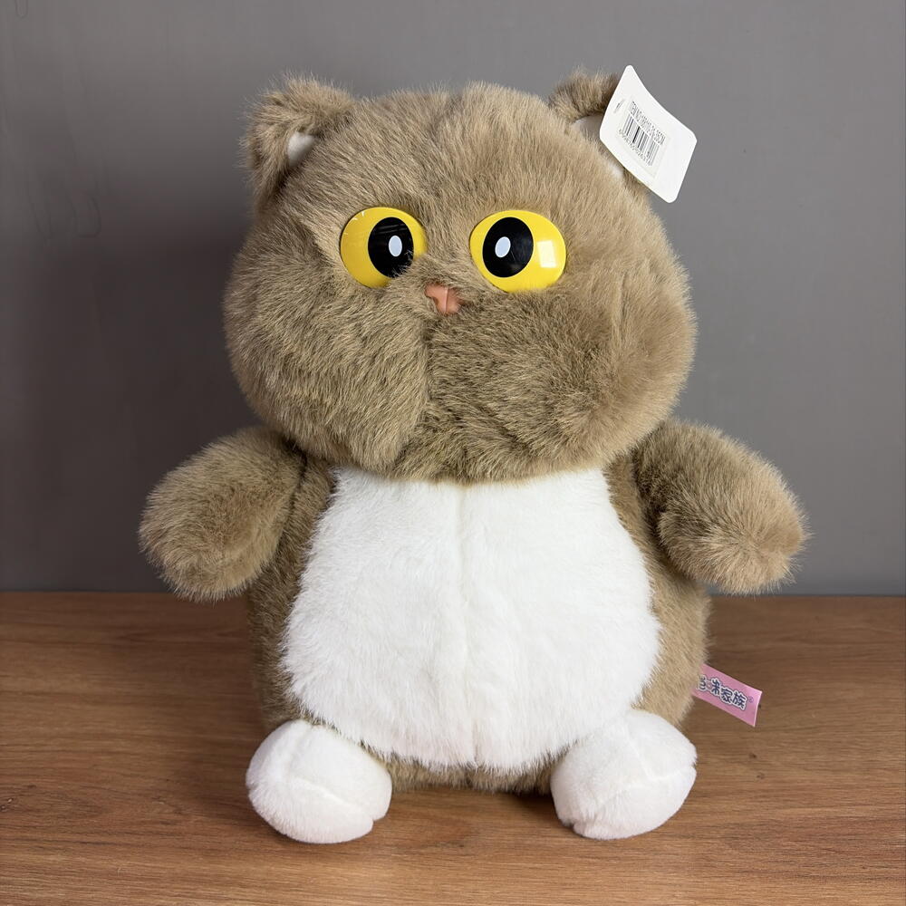 Кот с большими глазами