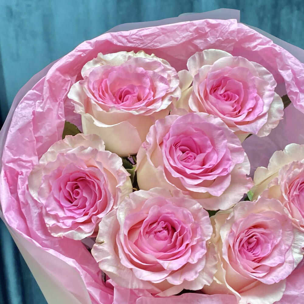 Розовые розы🌸