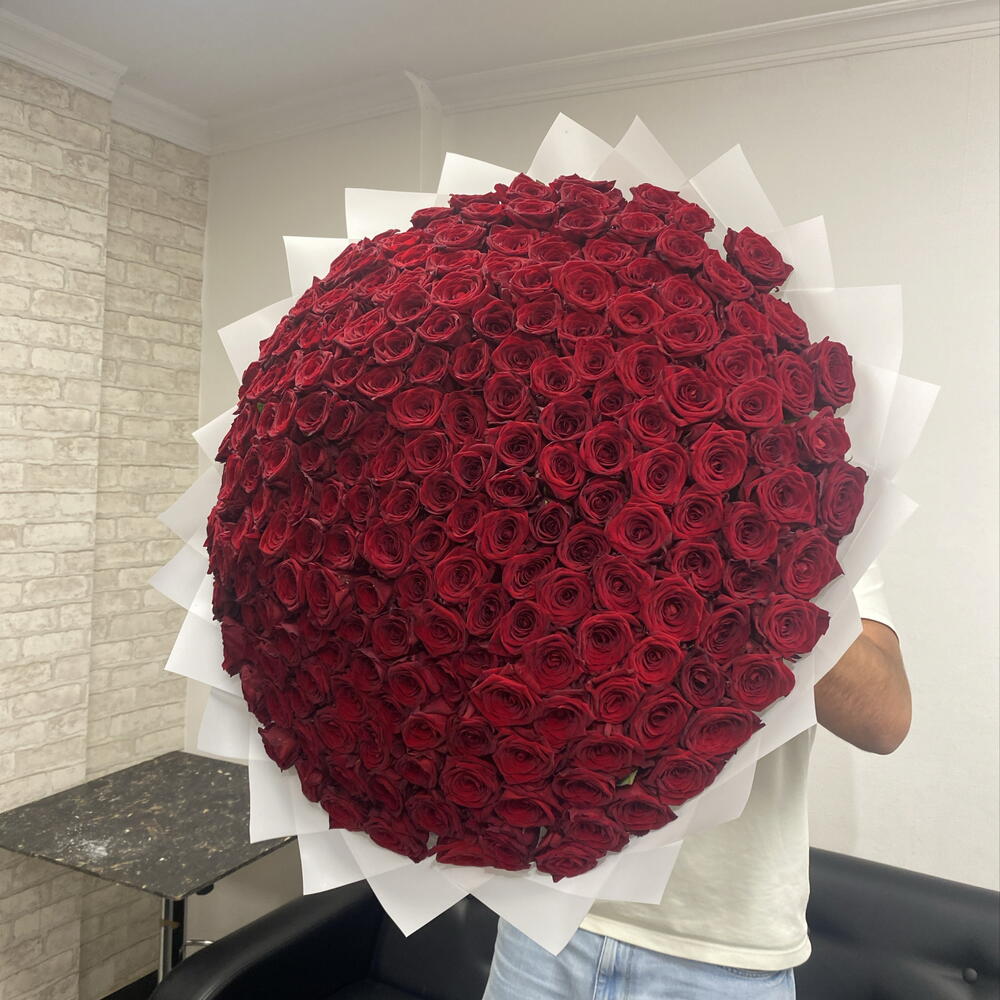 Красные розы 201шт🌹🌹🌹