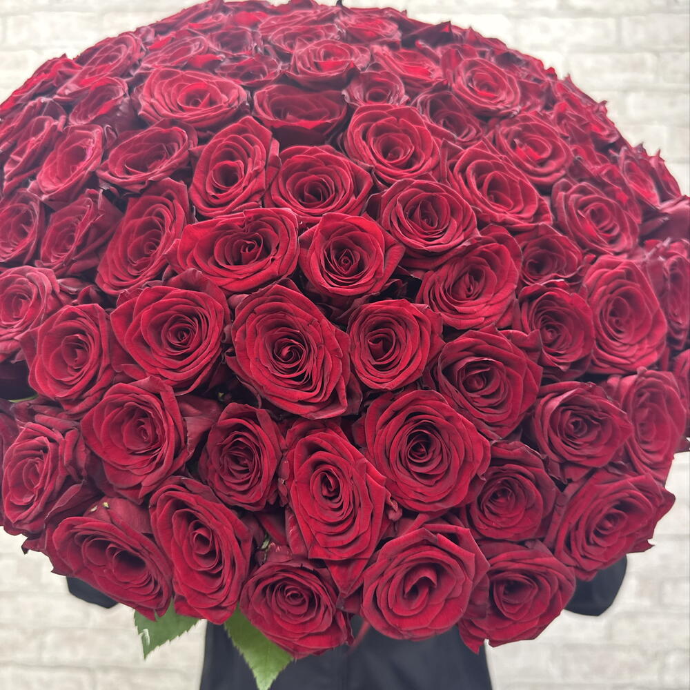 101 Роза 🌹🥰🥰🥰