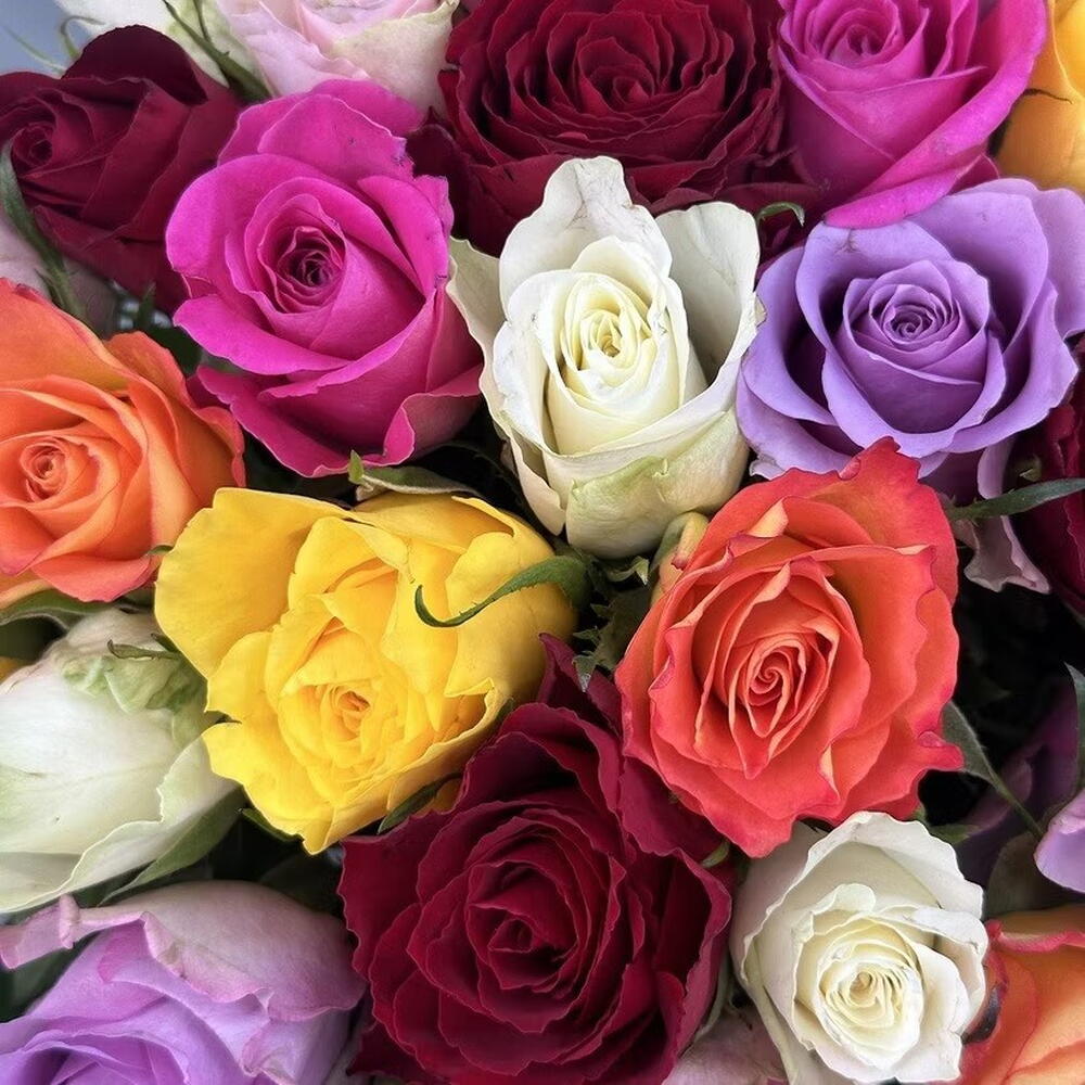 🌹 35 роз🌹