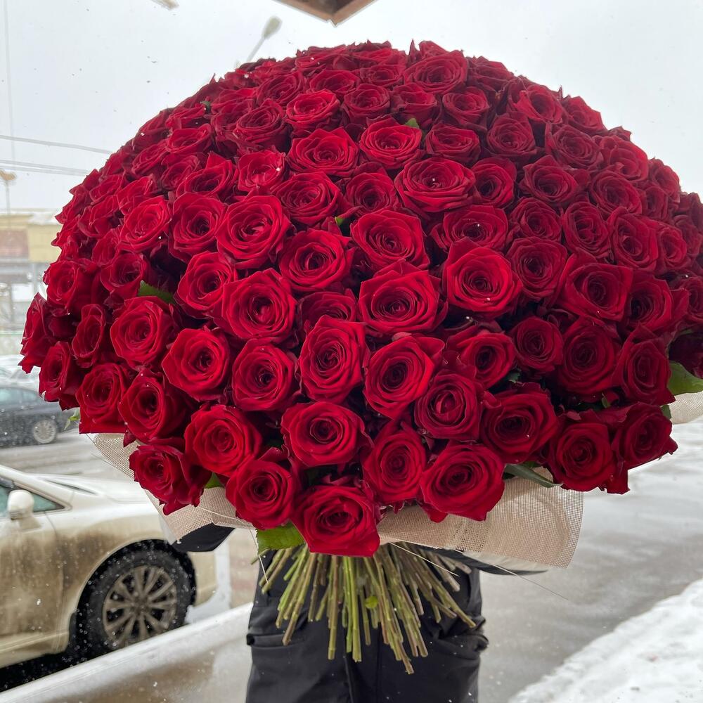 Алые розы