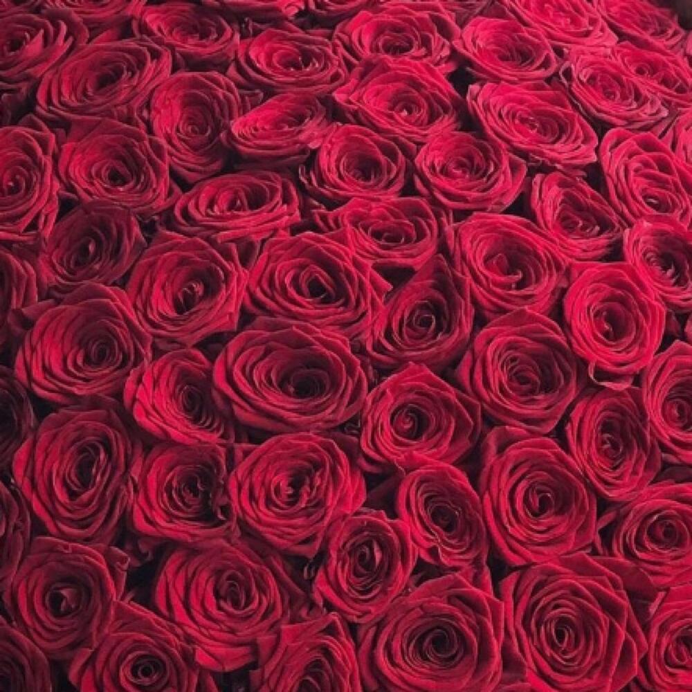 Гран-при 101шт