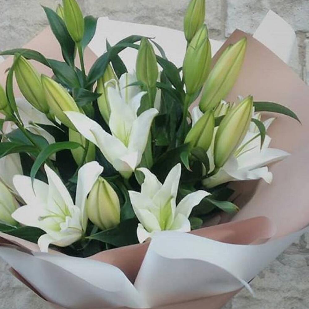 Lily