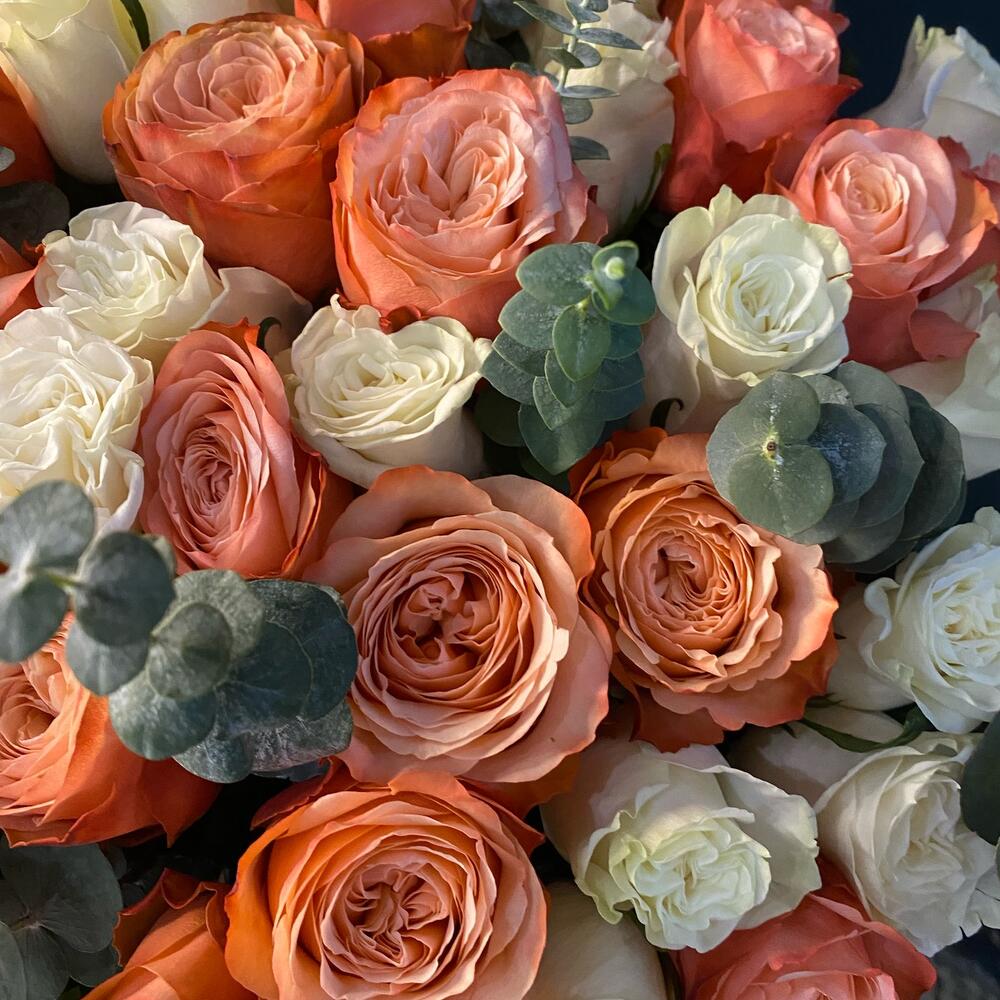 Розы микс 🧡