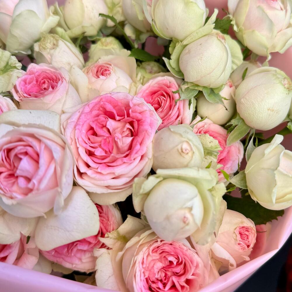 Пионовидные розы 💝