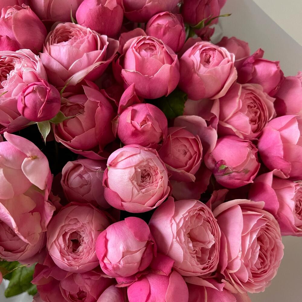 25 кустовых пионовидных роз🌸