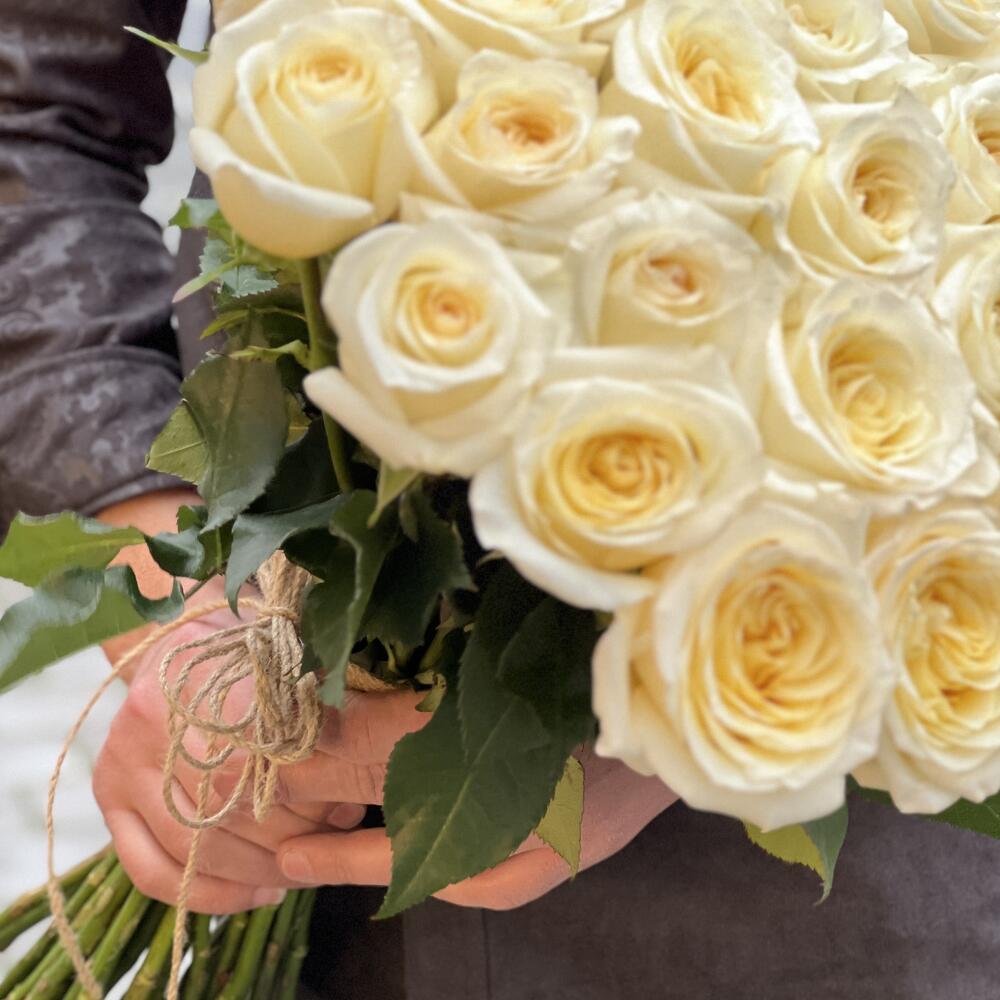 White Holland Roses N-09