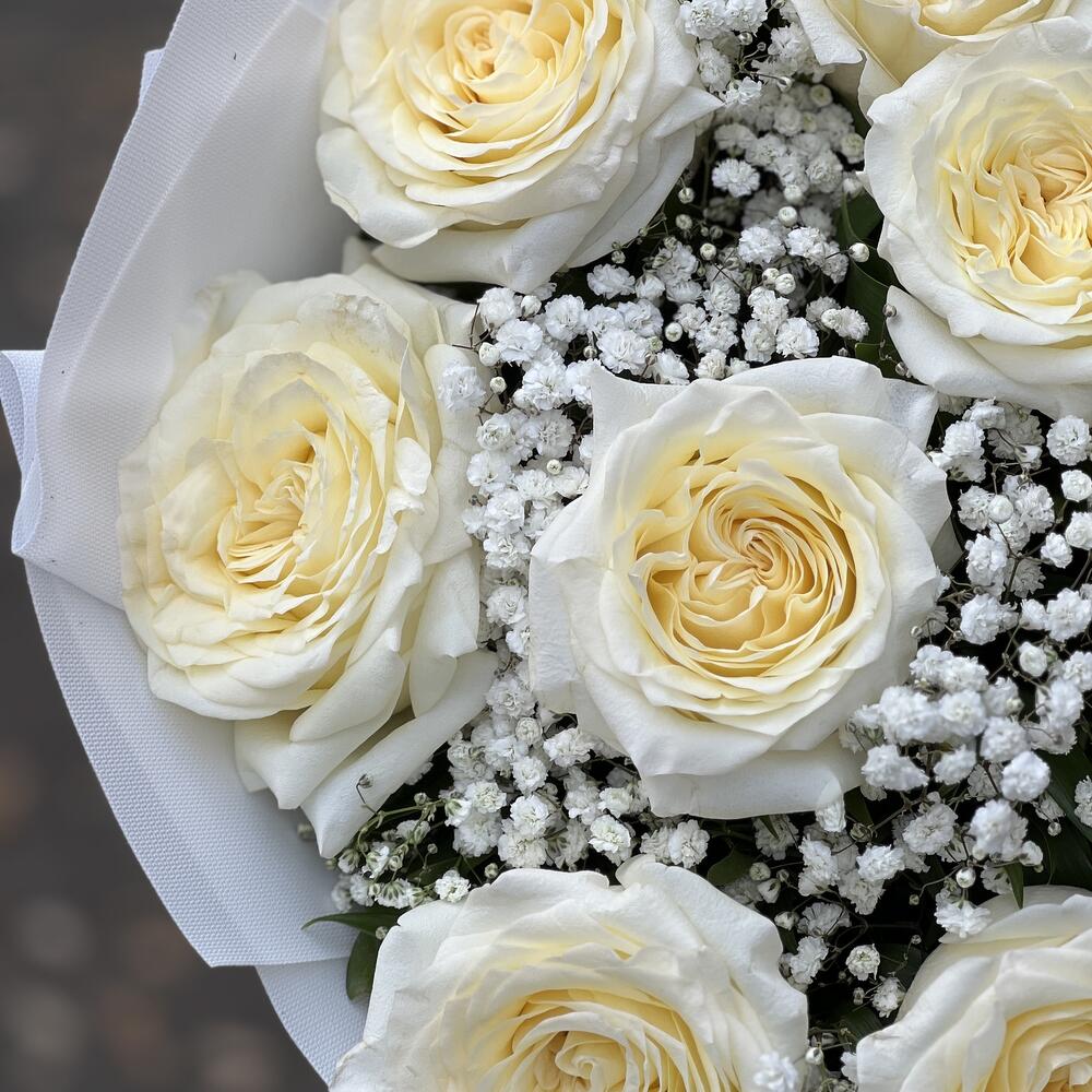 Holland White Roses Bouquet N-024