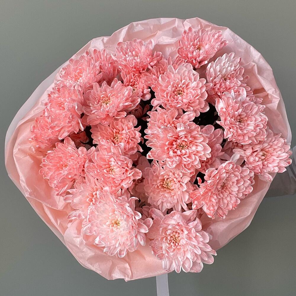 5 розовых хризантем🩷🌸