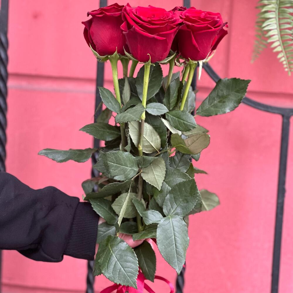 Bouquet of 7 burgundy Ecuadorian roses