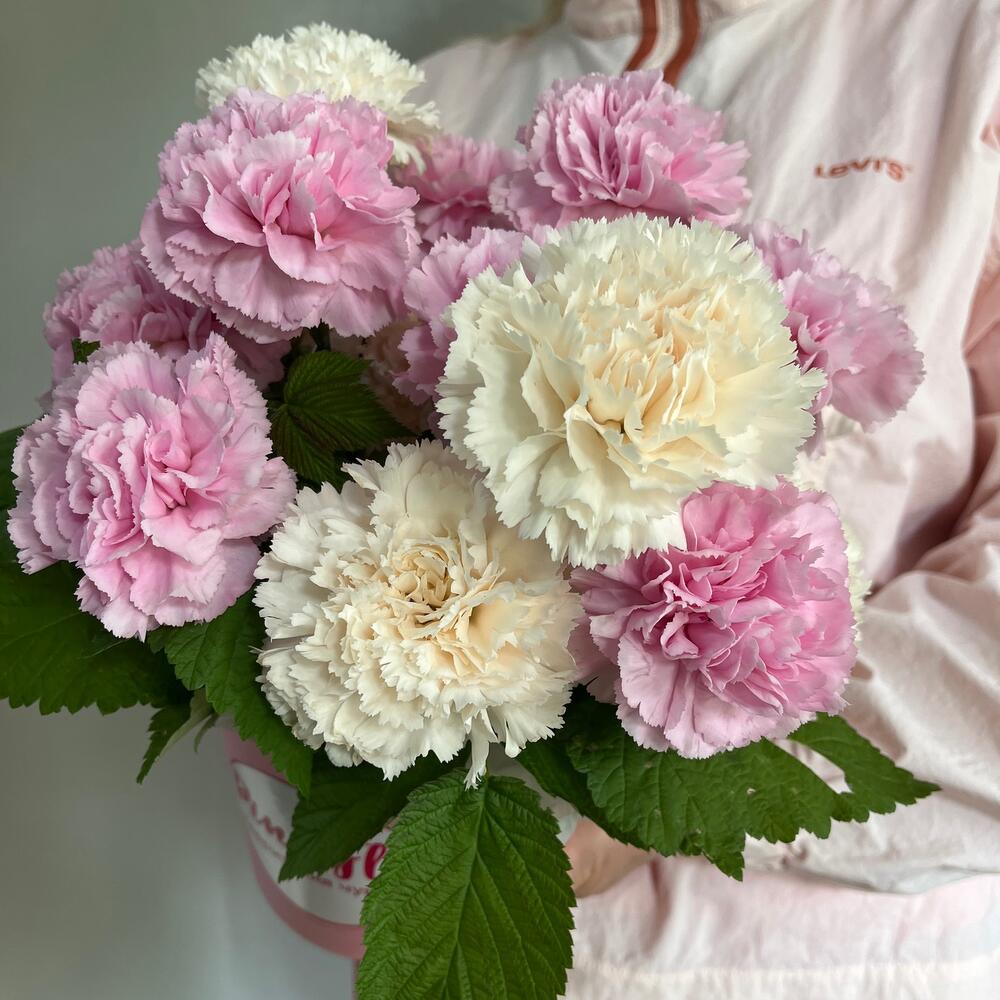 Самые нежные и ароматные диантусы стойкие с малиной 🌸