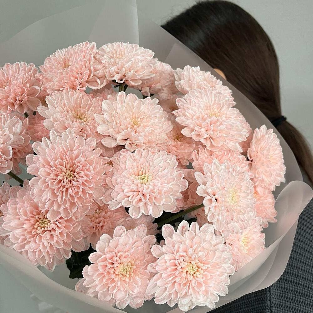 Моно букет из нежных Хризантем 🌸