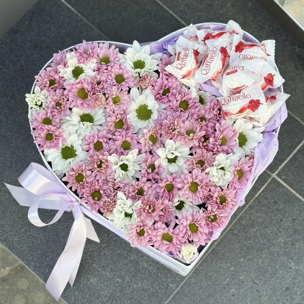 Box of chrysanthemum heart of the beauty
