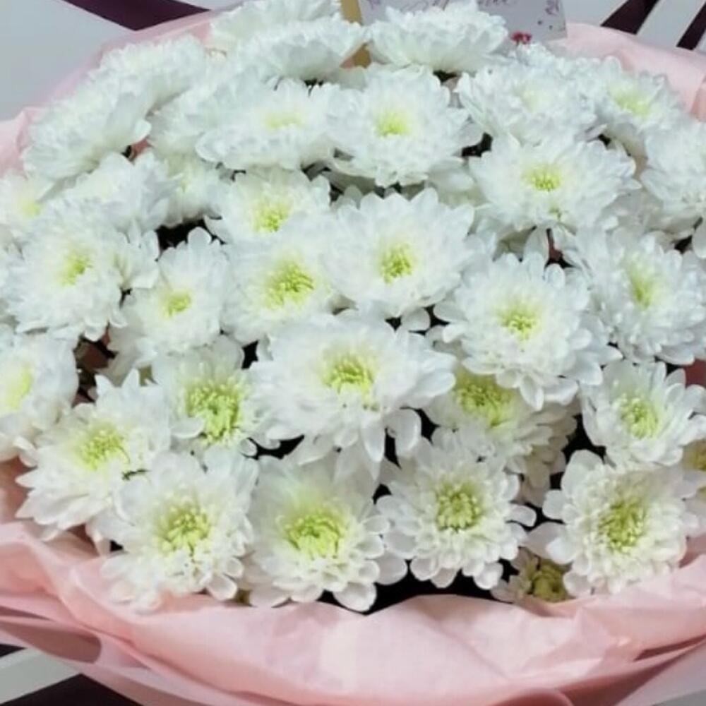 Моно Букет из хризантем Алтай