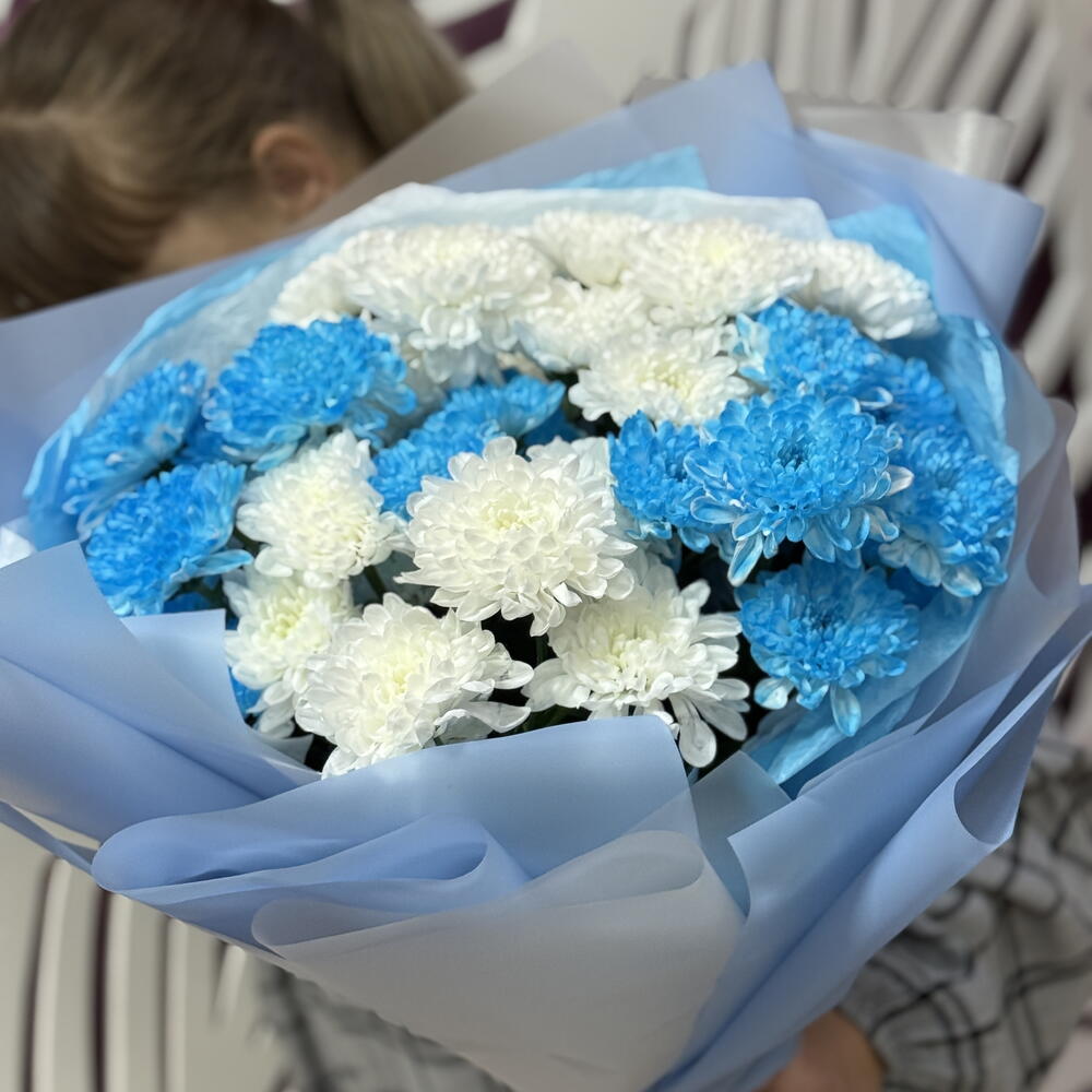 Букет из кустовой хризантемы белая и голубая