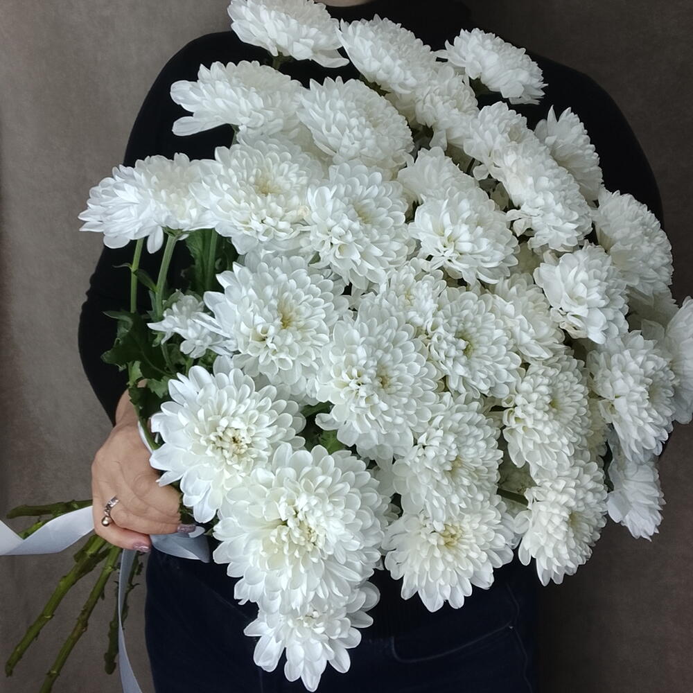 Хризантема кустовая белая