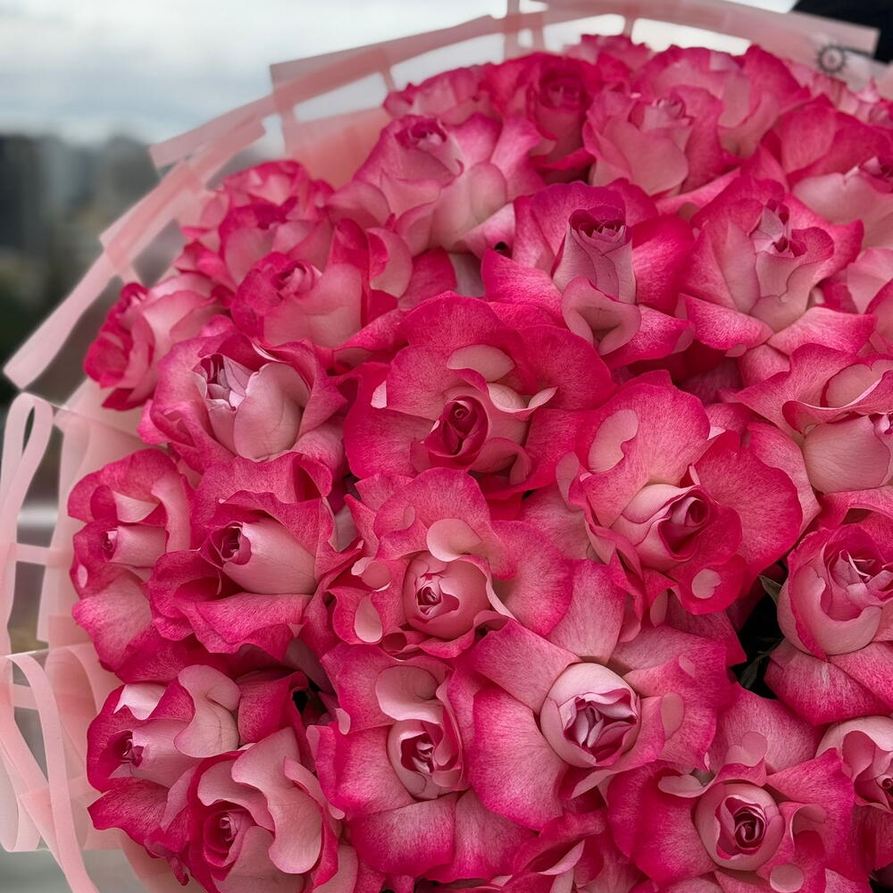 51 Holland Gulu – Ekstra Boyuk Romantik Monobuket