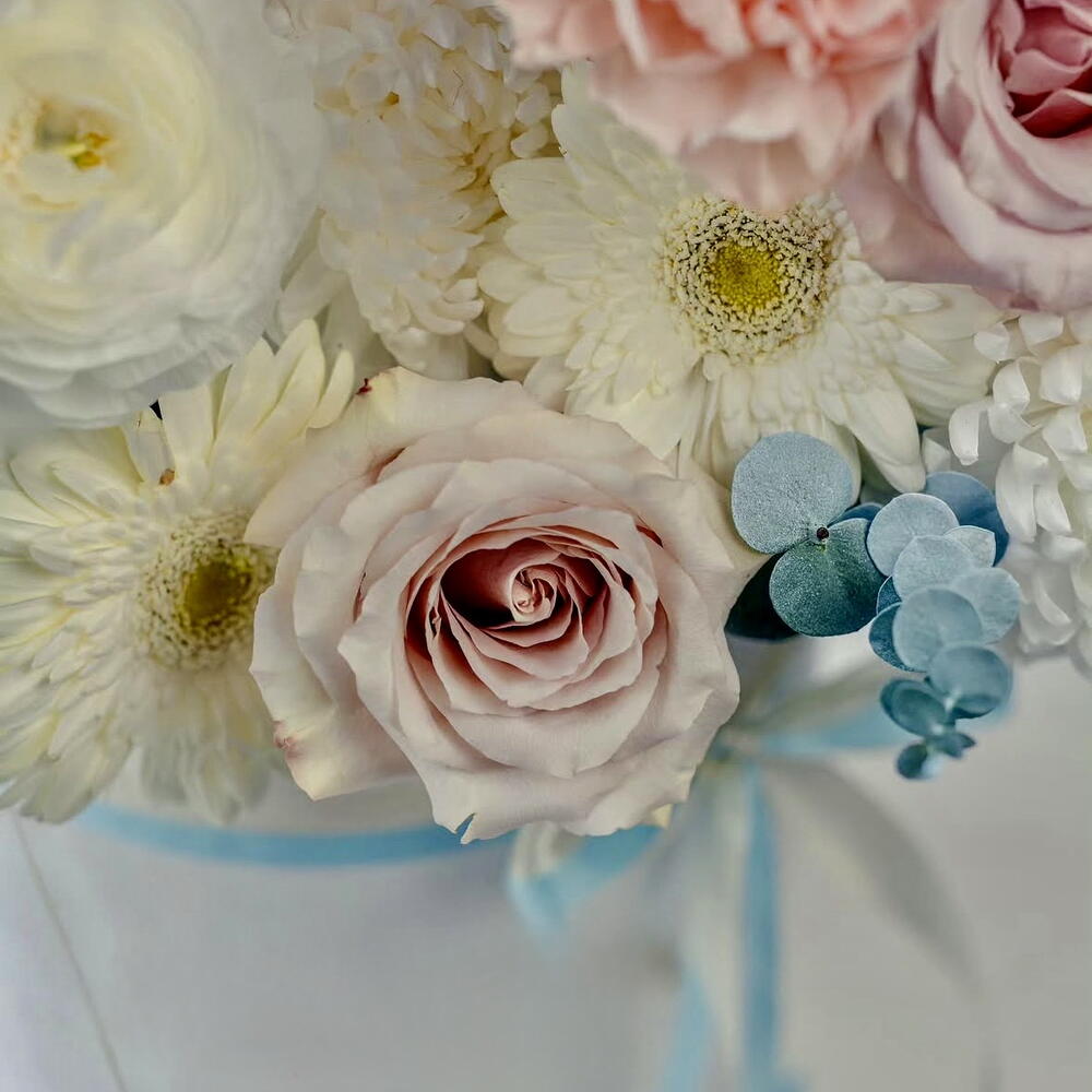 White blue