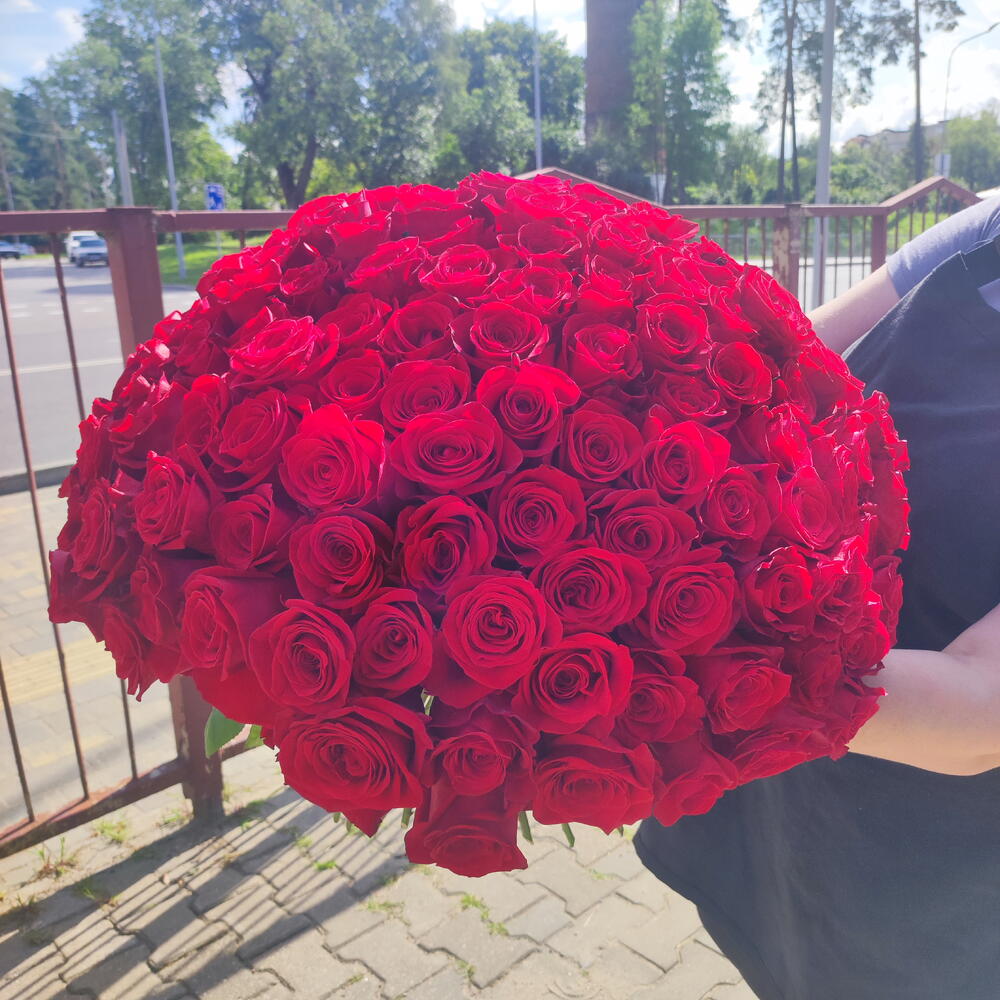 101 роза Эквадор