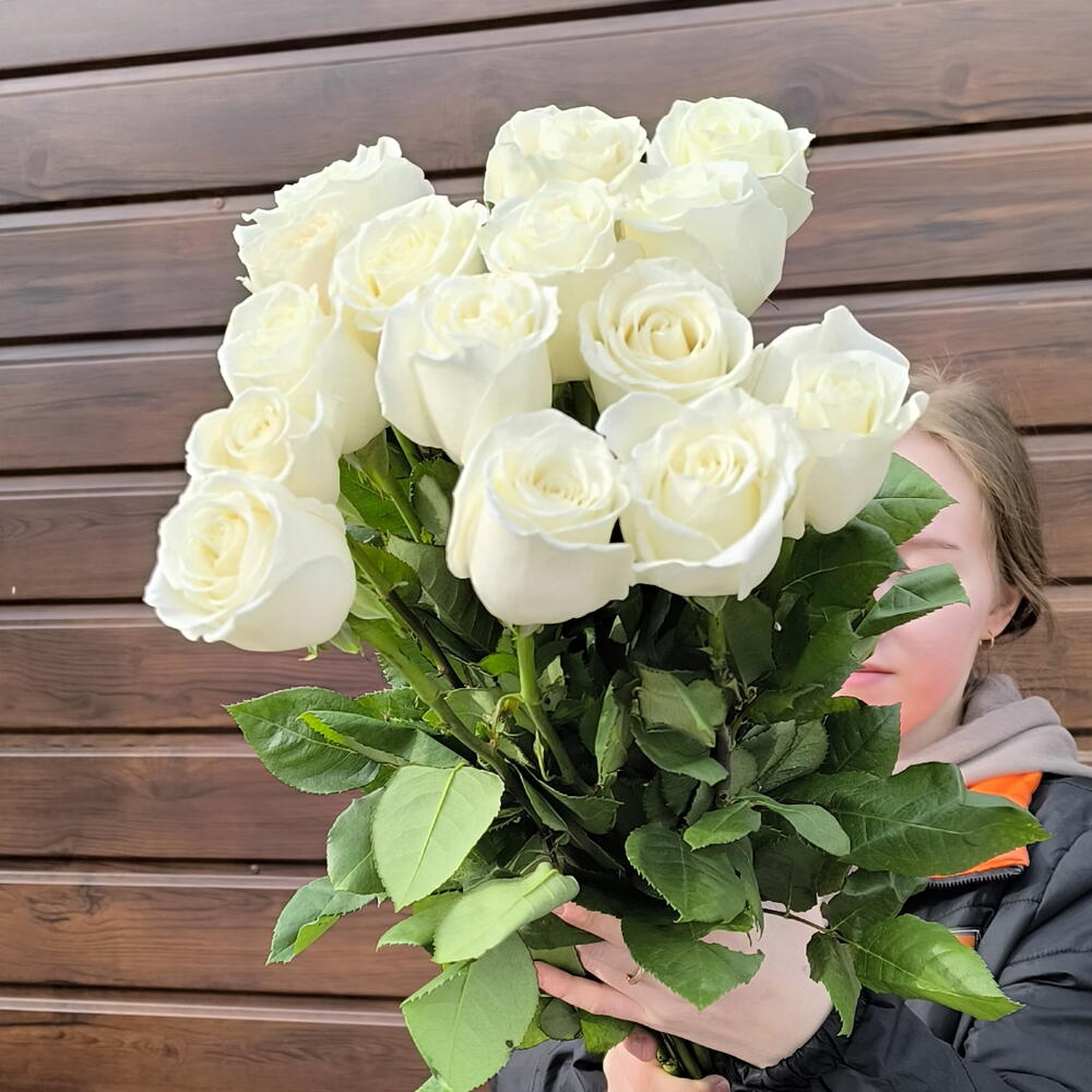Белая роза 15шт