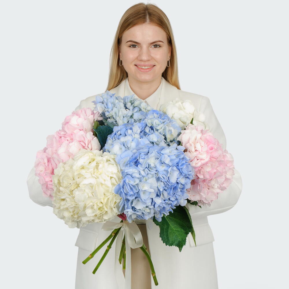 Букет из 7 гортензий
