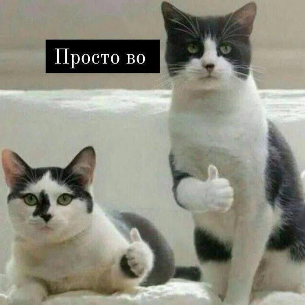 тест234