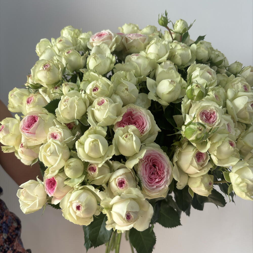 Кустовая 🌸 Роза