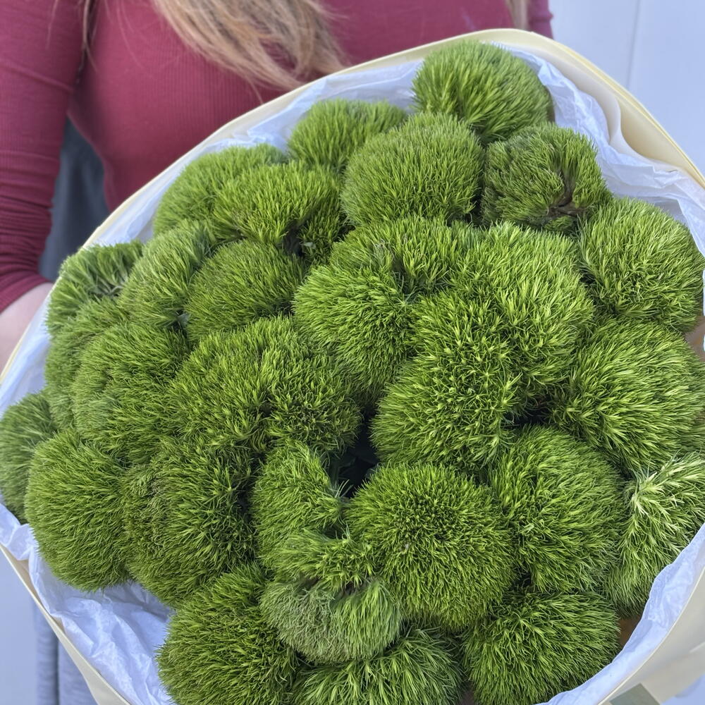 За гранью🍀🤍