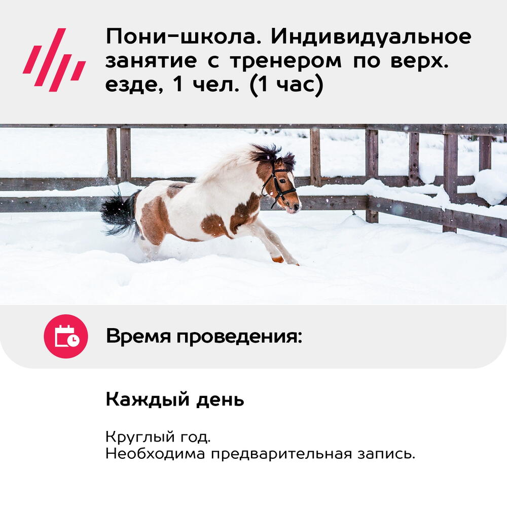 Подарочный сертификат Пони-школа. Индивидуальное занятие с тренером по верх. езде, 1 чел. (1 час)