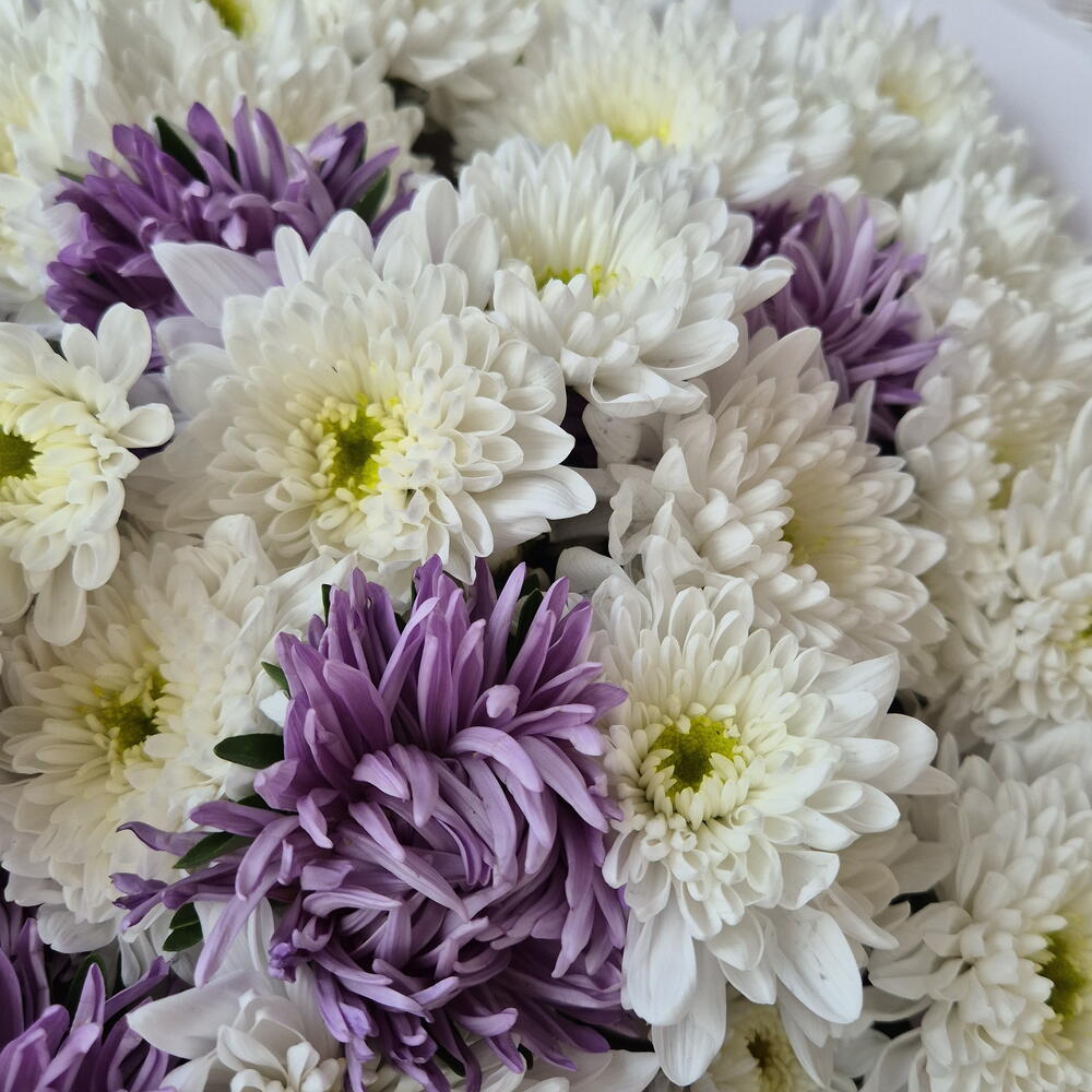 Bouquet 1