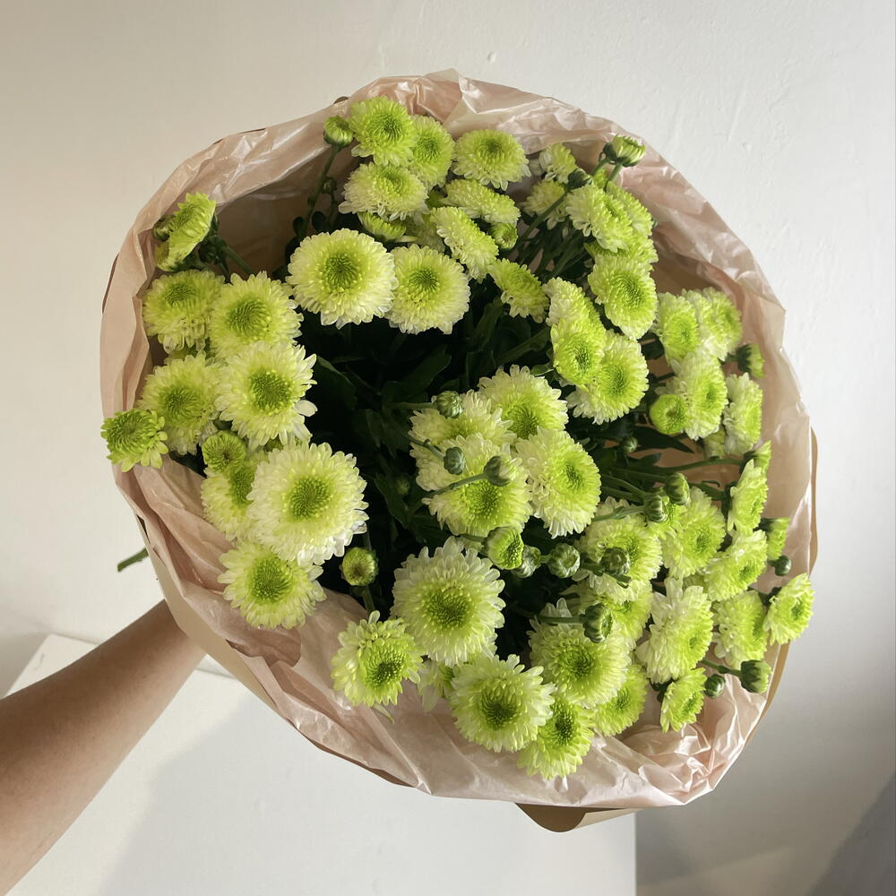 Букет из хризантем 💚