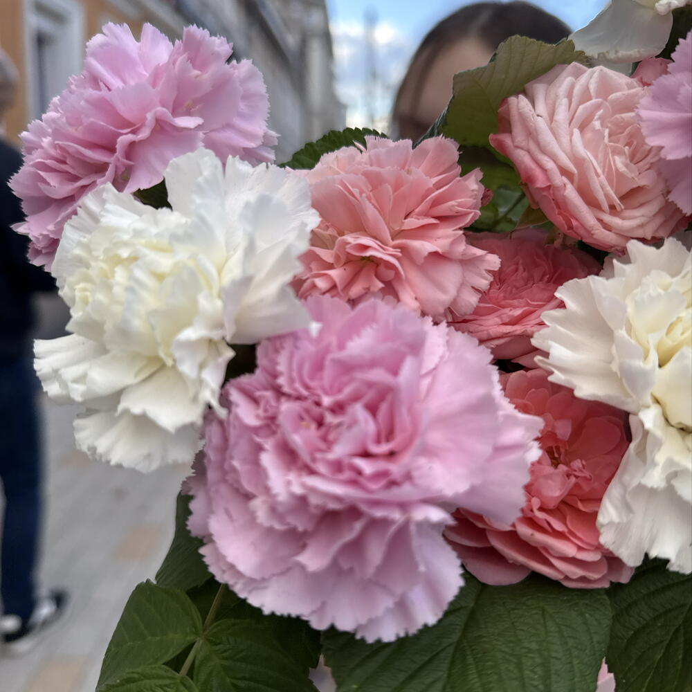 Стойкая композиция с ажурными диантусами, сочной малиной, стойкой кустовой розой