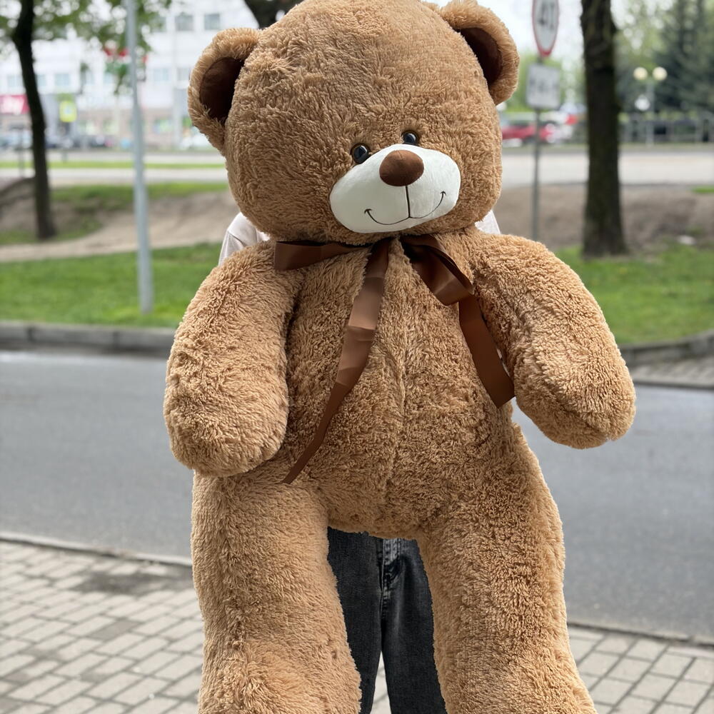Медведь большой 2