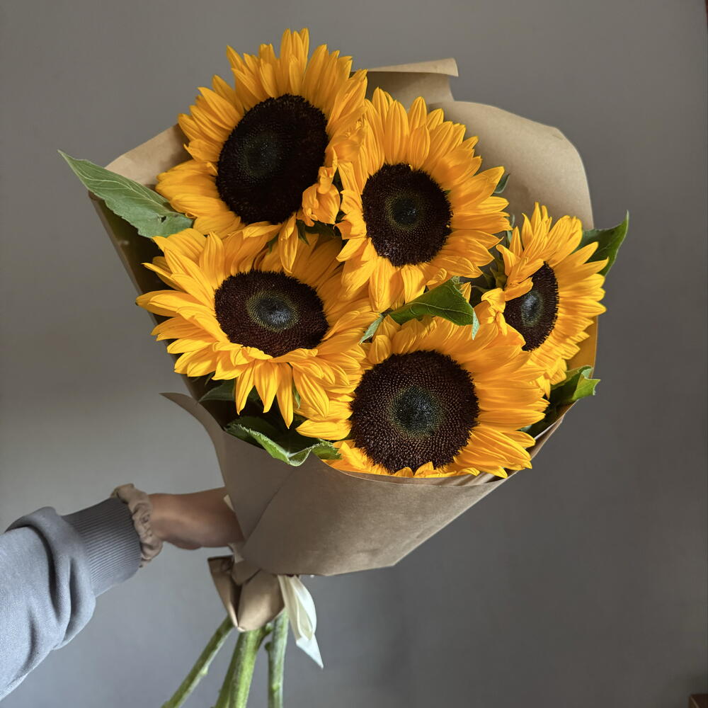 Подсолнухи 🌻