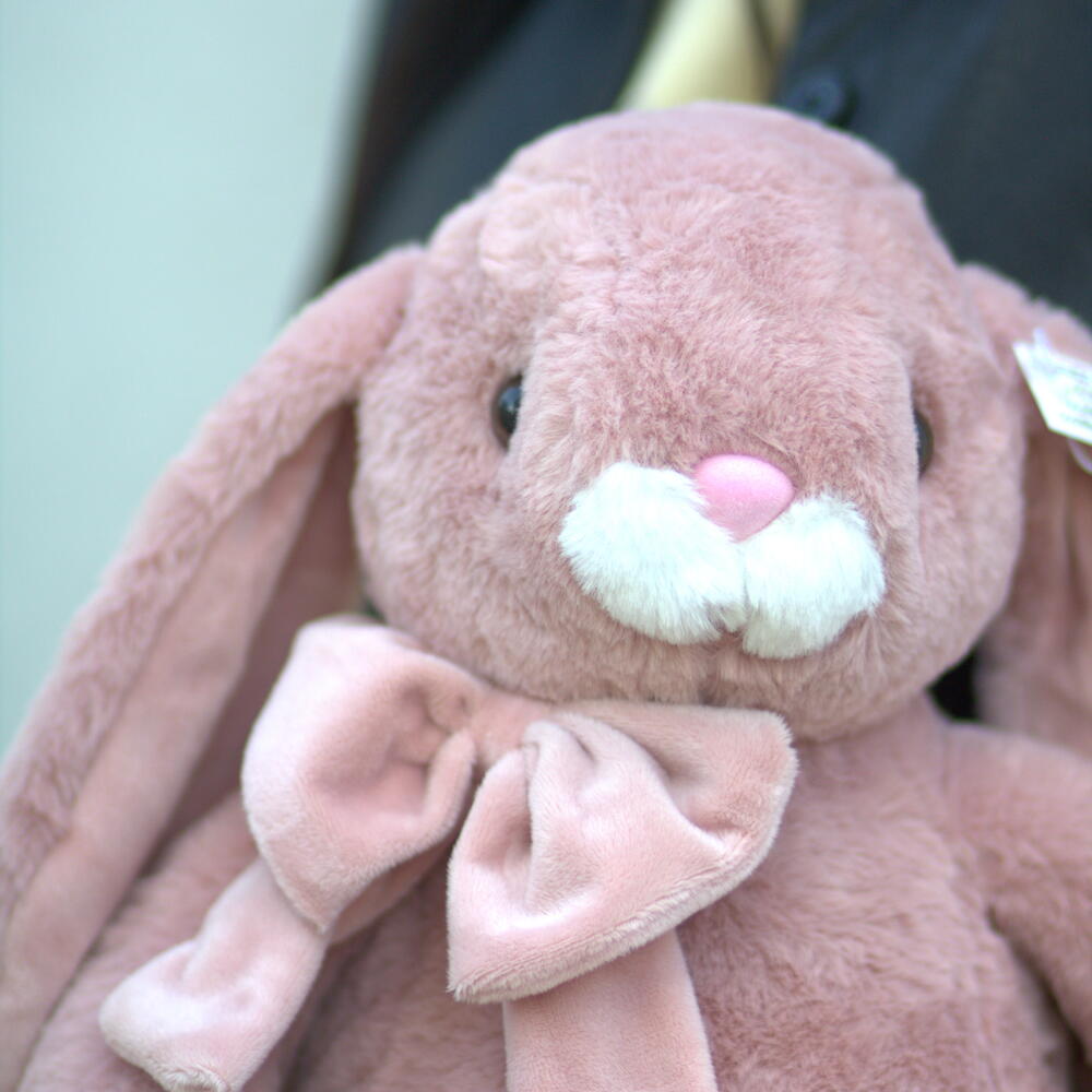 Зайка Pink