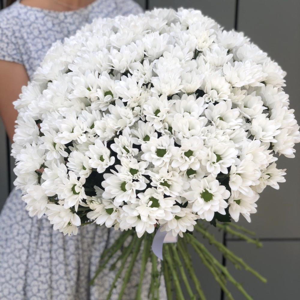 Букет Воздушное облако из 35 белой ромашковой хризантемы