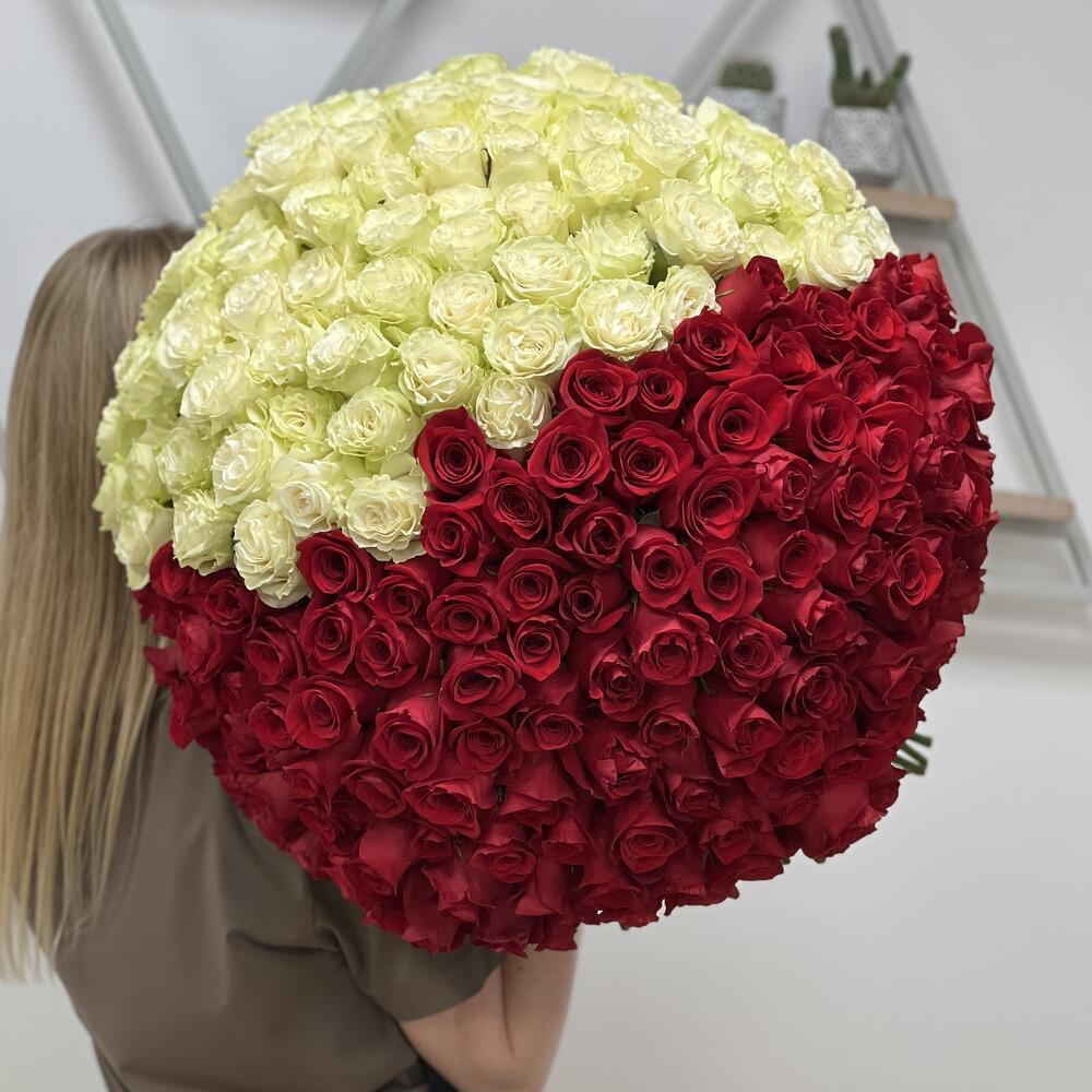 Букет из 201 красной и белой розы