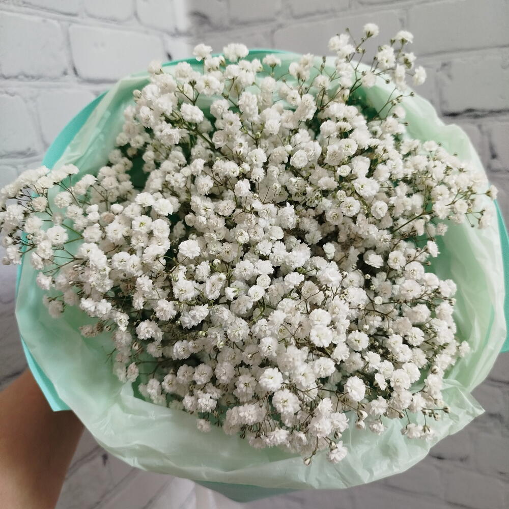 Облако из гипсофиллы