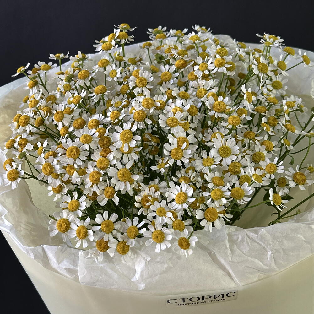 Мини ромашки