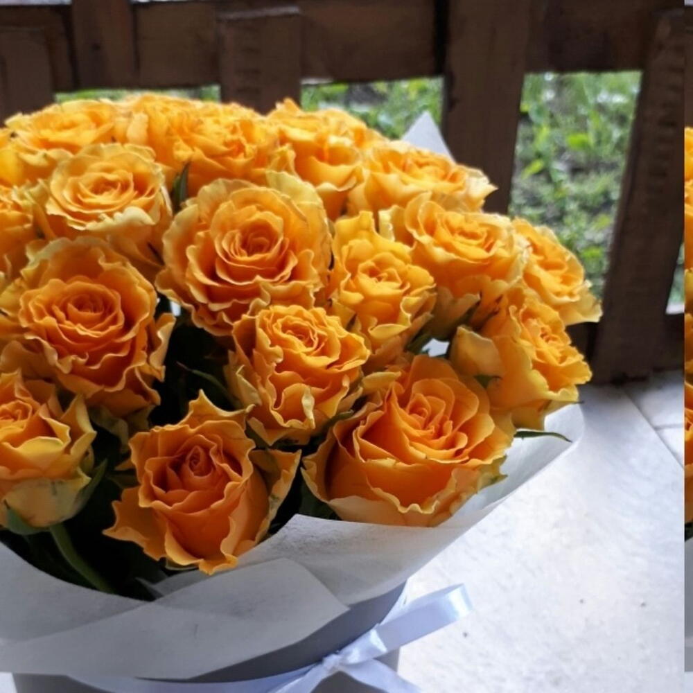 Солнечные розы
