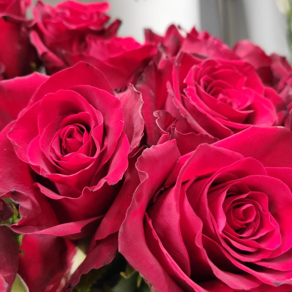 51 roses 🌹