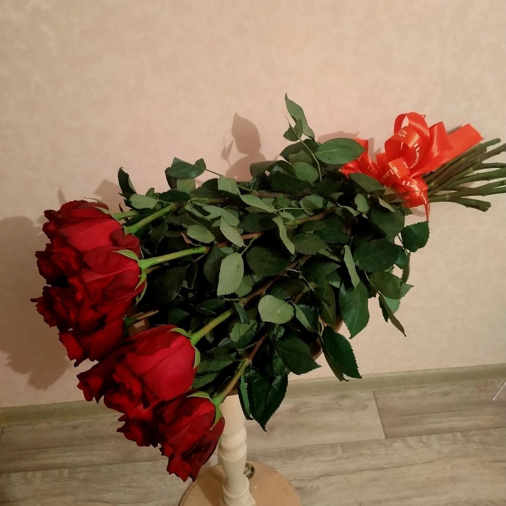 Роза