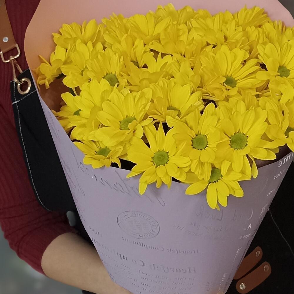 💐Хризантемы