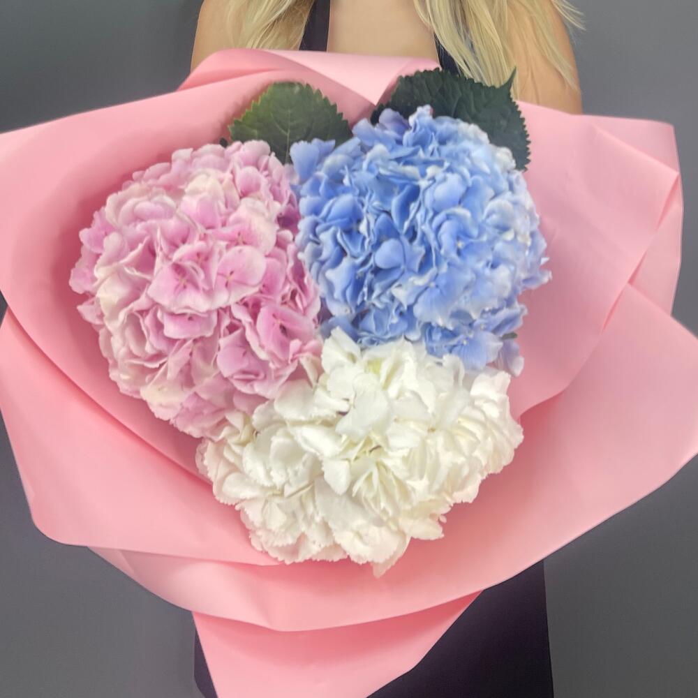 Edelweiss доставка цветов по россии купить цветы с доставкой в сургуте