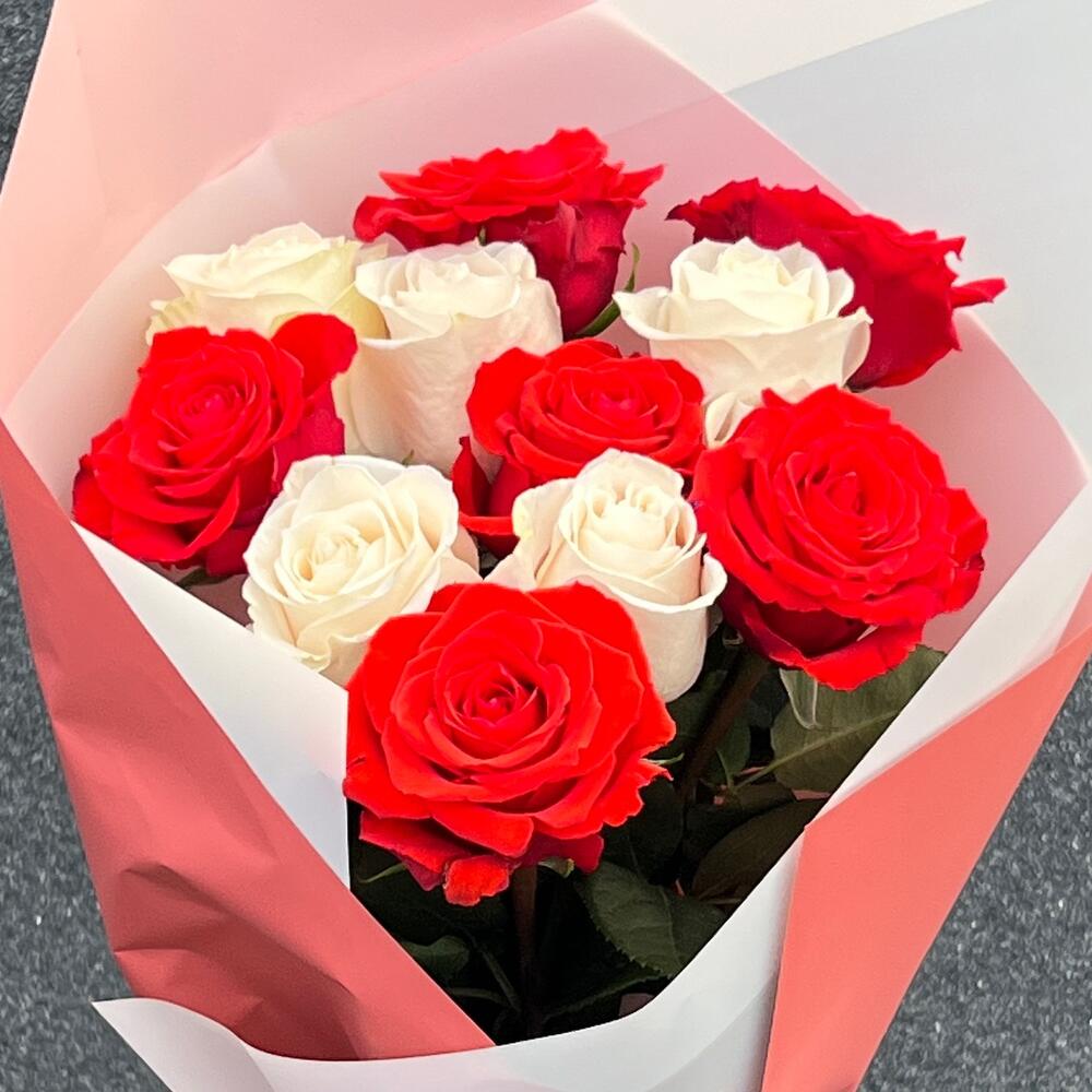 Roses 🌹🐚