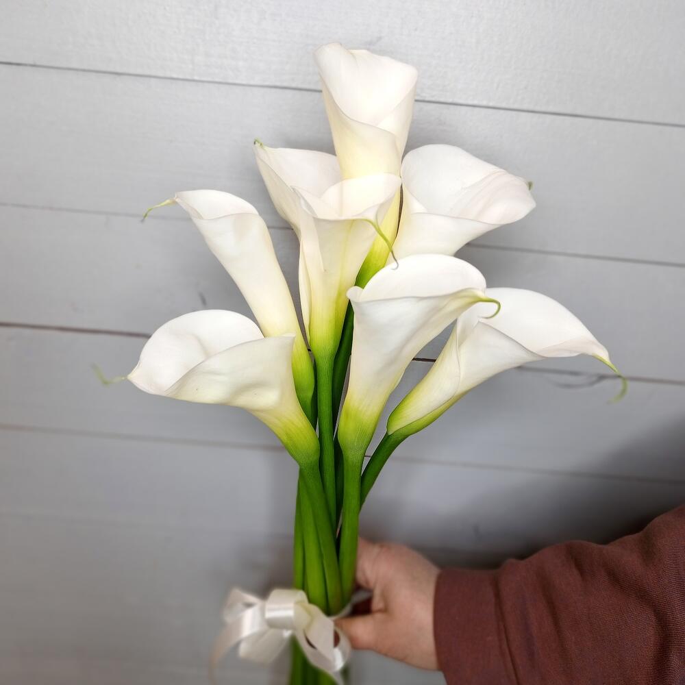 Callas 9