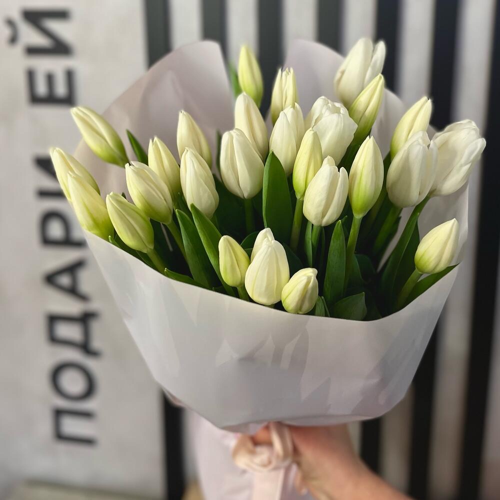 25 белых тюльпанов