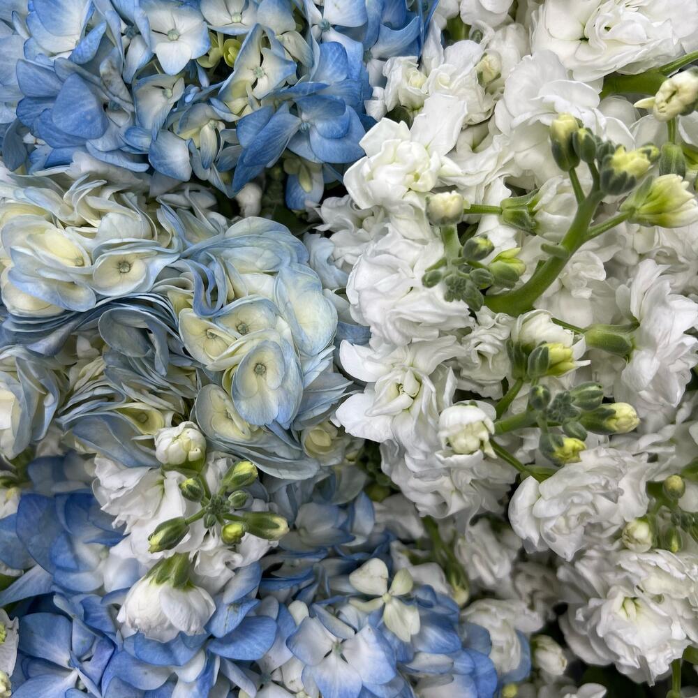 Букет "Blue sky"